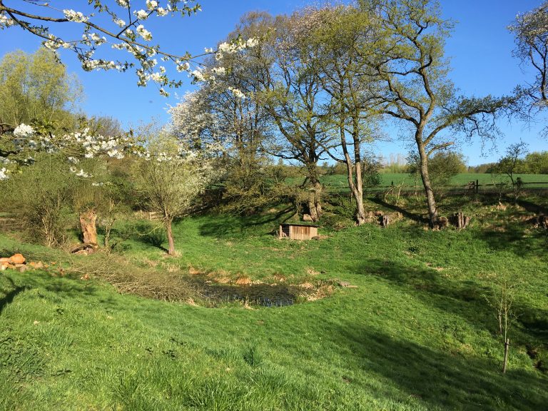Entdecke den MINT-Forscher-Park!